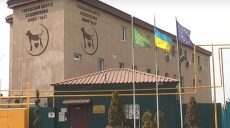 Конфлікт навколо собаки у Харкові (відео)