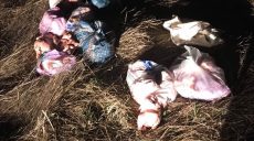 На Харьковщине мужчина обокрал предприятие, на котором работал (фото)