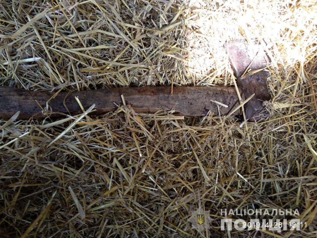 В Валковском районе 17-летний парень ударил женщину топором