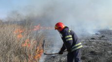 С начала апреля на Харьковщине зафиксировано 600 случаев горения сухостоя