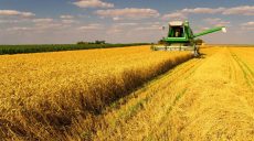 На Харківщині тривають посіви ранніх зернових та зернобобових культур (відео)