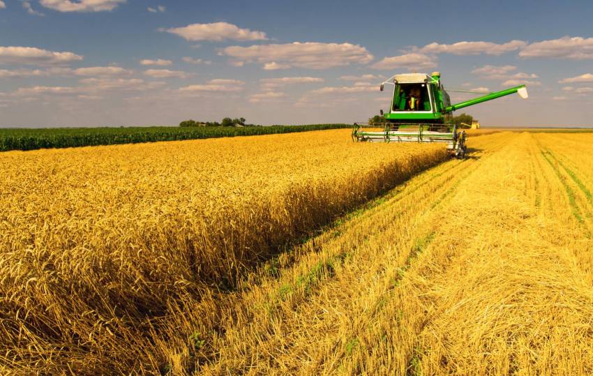 На Харківщині тривають посіви ранніх зернових та зернобобових культур (відео)