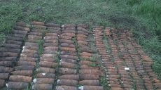 В харьковской области обезвредили 250 боеприпасов (фото)