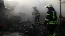 Повреждены три автомобиля: в Московском районе возник пожар на частной территории (фото, видео)
