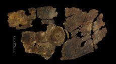 Британские ученые обнаружили уникальный артефакт железного века (фото)