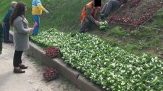 Алиментщики на Харьковщине сажают цветы и приводят в порядок памятники (фото)