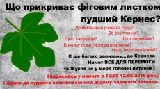 «Не изменяй Родине»: харьковчан приглашают задать вопросы Кернесу
