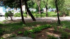 Стрілянина у Харкові (відео)