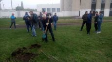 В парке Победы высадили 30 деревьев (фото)
