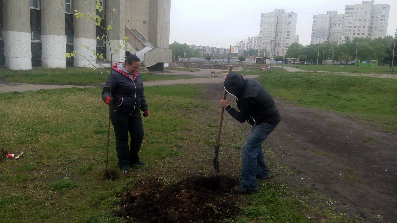 У Харкові з’явились нові дерева (відео)