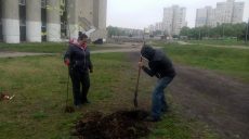 У Харкові з’явились нові дерева (відео)