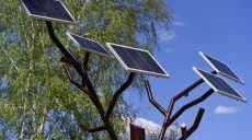 Заряджає мобільні пристрої: у Харкові встановили перше «сонячне» дерево (відео)