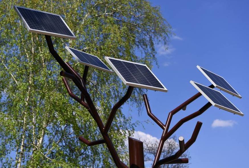 Заряджає мобільні пристрої: у Харкові встановили перше «сонячне» дерево (відео)