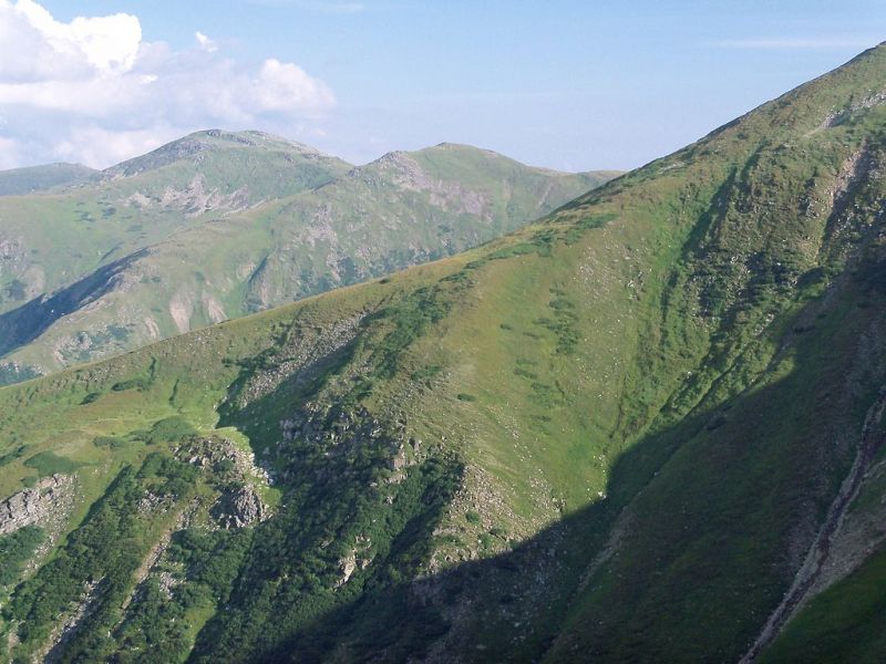 В Карпатах спасли малыша из Харькова
