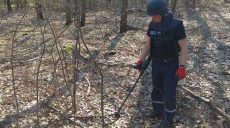 За сутки пиротехники обезвредили 63 боеприпаса