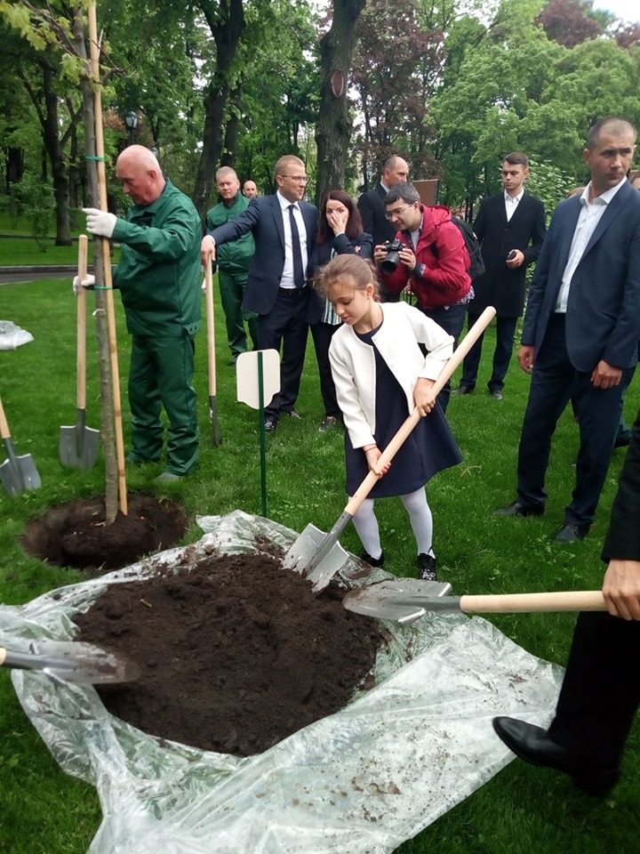 У Харкові висадили сім черешчатих дубів (відео)