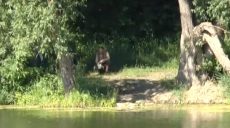 Мешканці селища Рогань бідкаються на забруднене водоймище (відео)