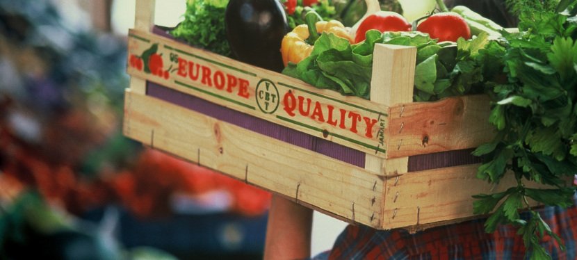 З вересня всі харчові продукти в Україні мають відповідати нормам Євросоюзу (відео)
