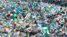 Пластик ежегодно убивает до миллиона человек — ученые