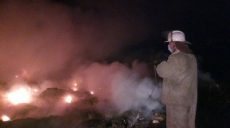 На Харьковщине за сутки выгорело около двух гектаров сухостоя