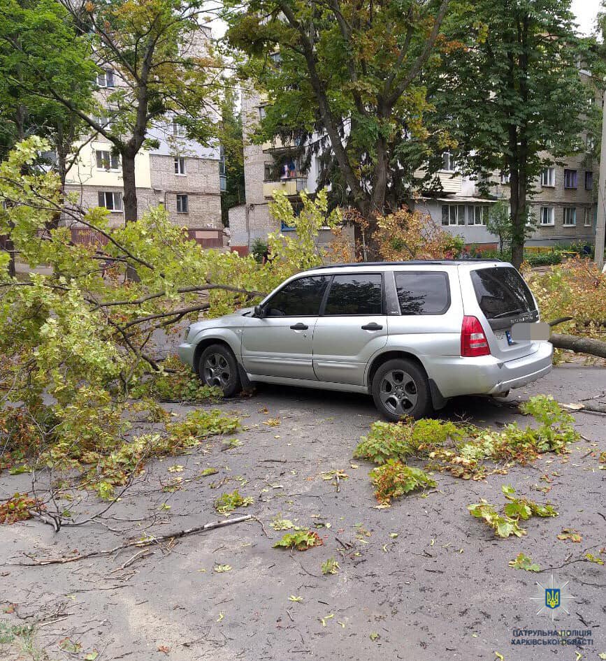 Полиция предоставила подробности падения дерева на автомобиль (фото)