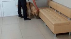 Взрывчатку в харьковских больницах не нашли