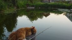 На выходных в Харькове будет жарко