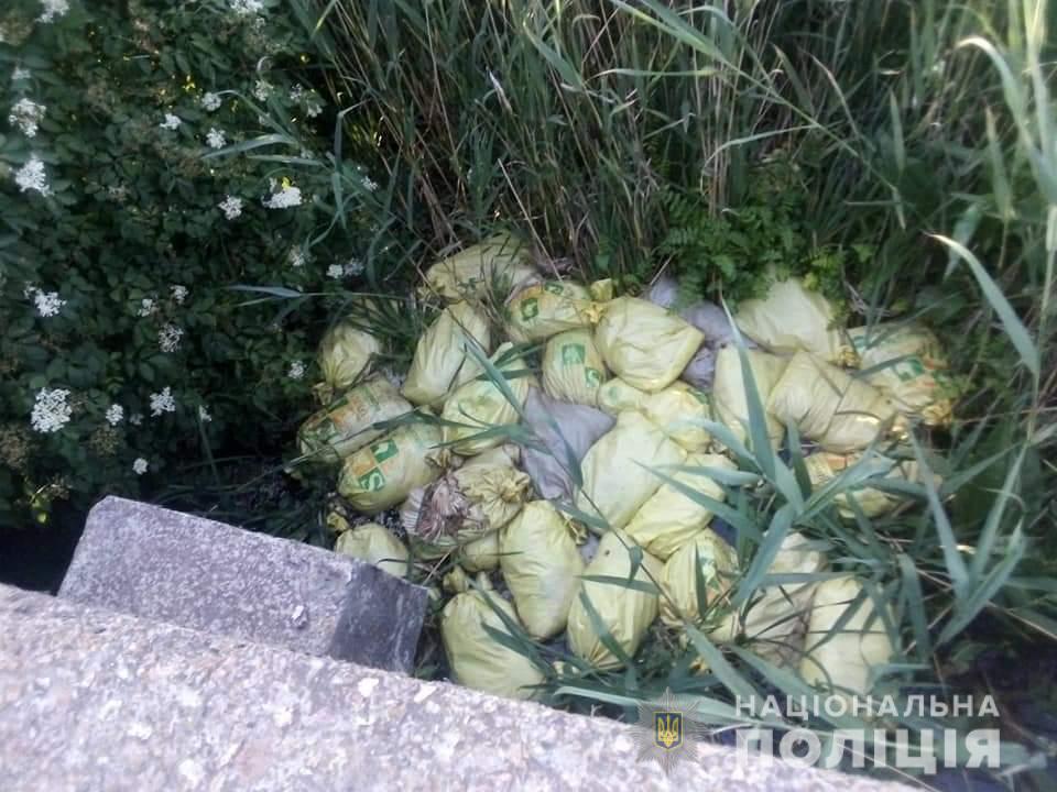Незаконный сброс мертвой птицы на Харьковщине: полиция открыла уголовное дело (фото)