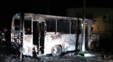 Пожар под Киевом: сгорело 10 маршруток