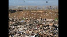 На Харьковщине будут бороться с несанкционированными свалками