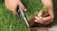 Дергачевская местная прокуратура требует вернуть государству землю