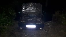 В Золочевском районе сгорела иномарка (фото)