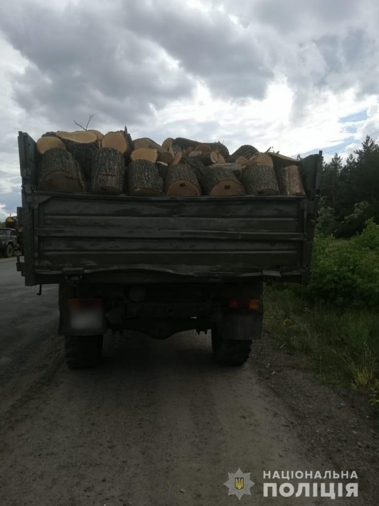 Незаконная вырубка лесов на Харьковщине: нарушения обнаружены еще в трех районах области