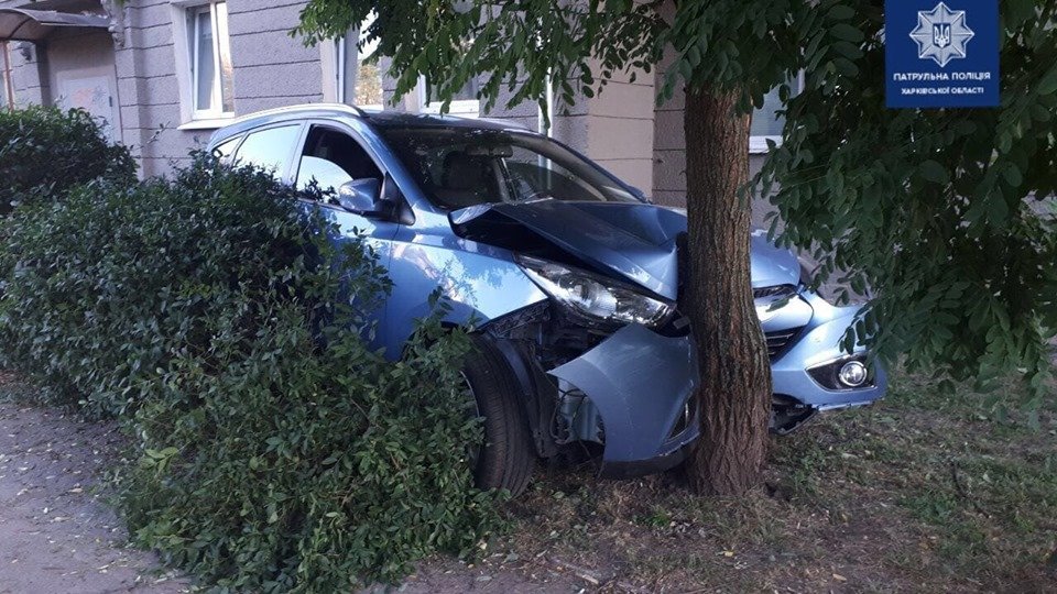 На Сумской Hyundai въехал в дерево (фото)