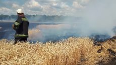 Спасатели ликвидировали пожар на поле