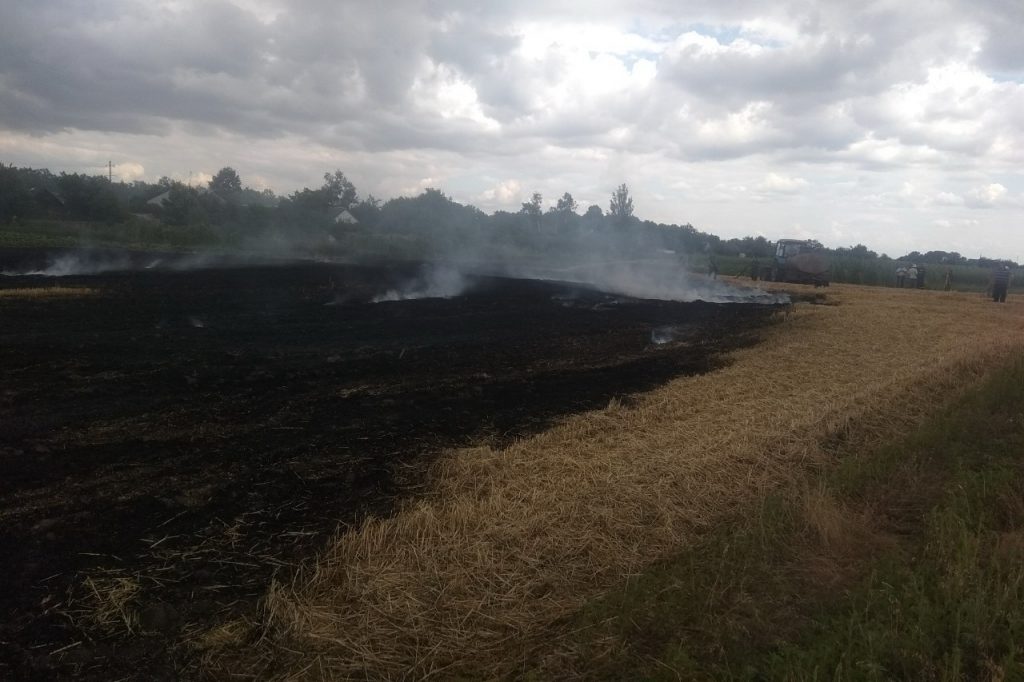 Спасатели ликвидировали пожар на пшеничном поле (фото)