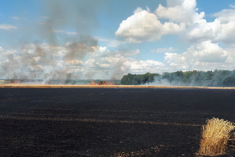 На Харьковщине сгорело два гектара пшеницы