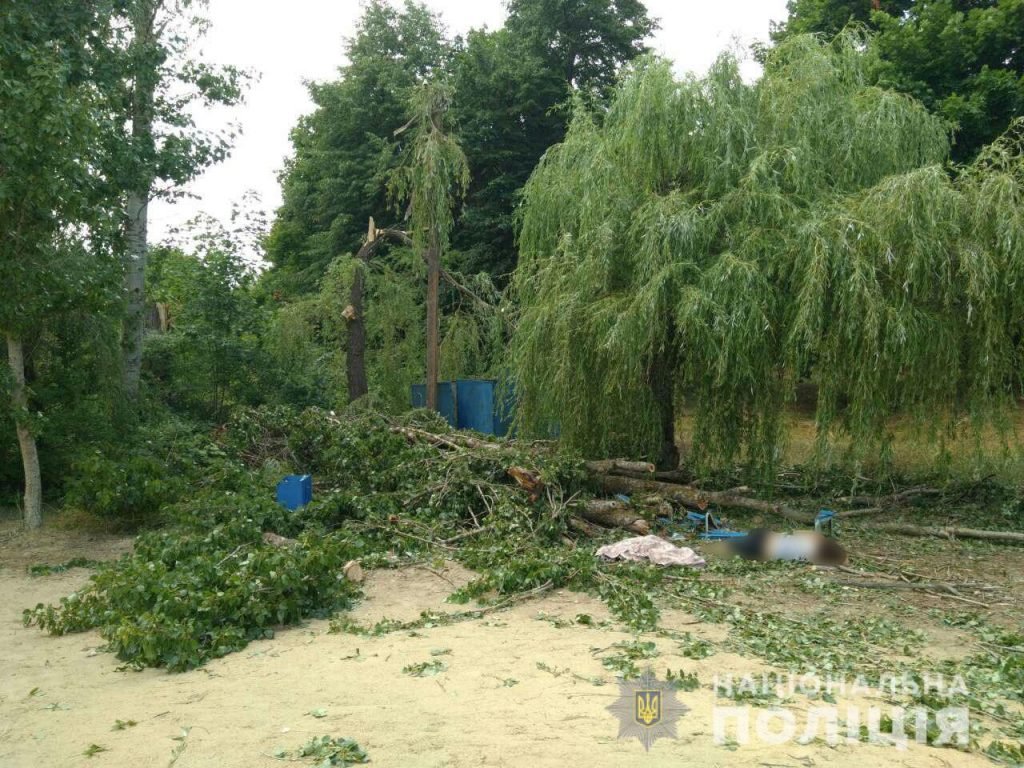 Негода на Харківщині: дерево, що впало, вбило двох жінок (відео)
