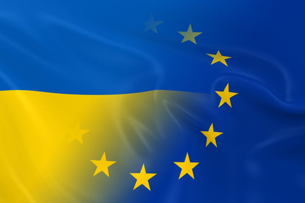 Евросоюз призвал Украину усилить борьбу с пиратством и подделками