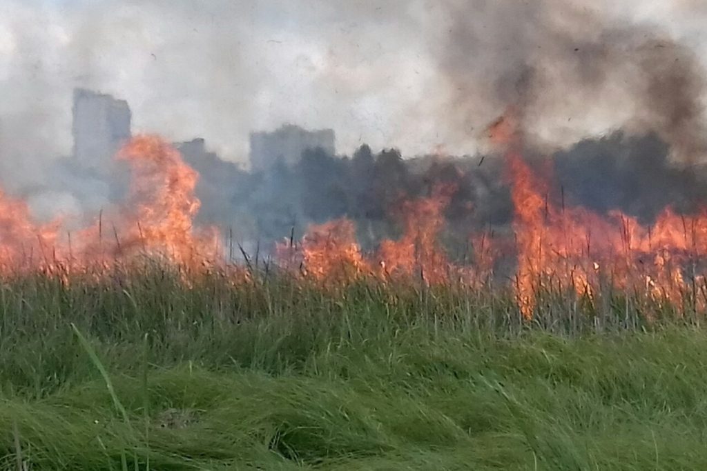 Спасатели ликвидируют масштабный пожар в Харькове (фото)