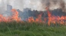 Спасатели ликвидируют масштабный пожар в Харькове (фото)