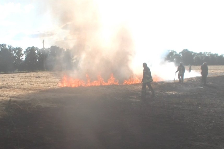 Пожары в экосистемах на Харьковщине: пострадало два человека
