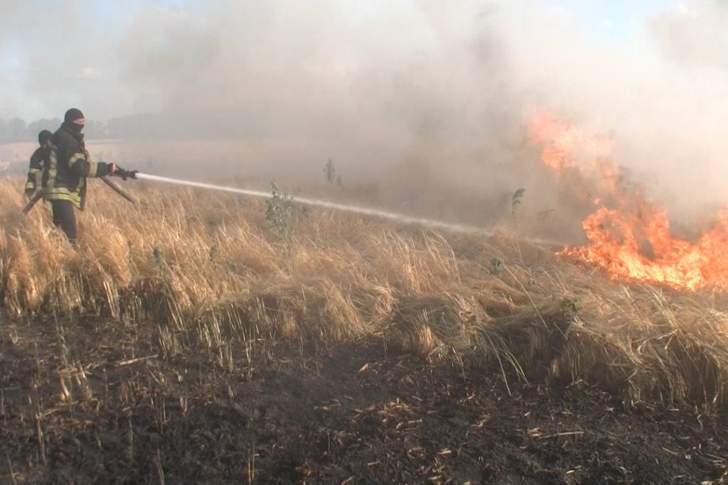 За сутки на Харьковщине произошло 24 пожара в экосистемах