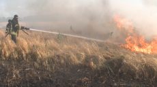 За сутки на Харьковщине произошло 24 пожара в экосистемах