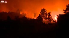 Лесные пожары в Португалии: более 30 пострадавших