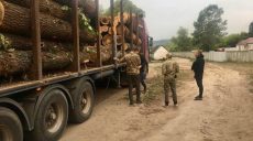 СБУ блокировала масштабные хищения древесины из лесничеств Харьковщины (видео)