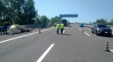 В Италии упал самолет на автостраду: есть погибший (видео)