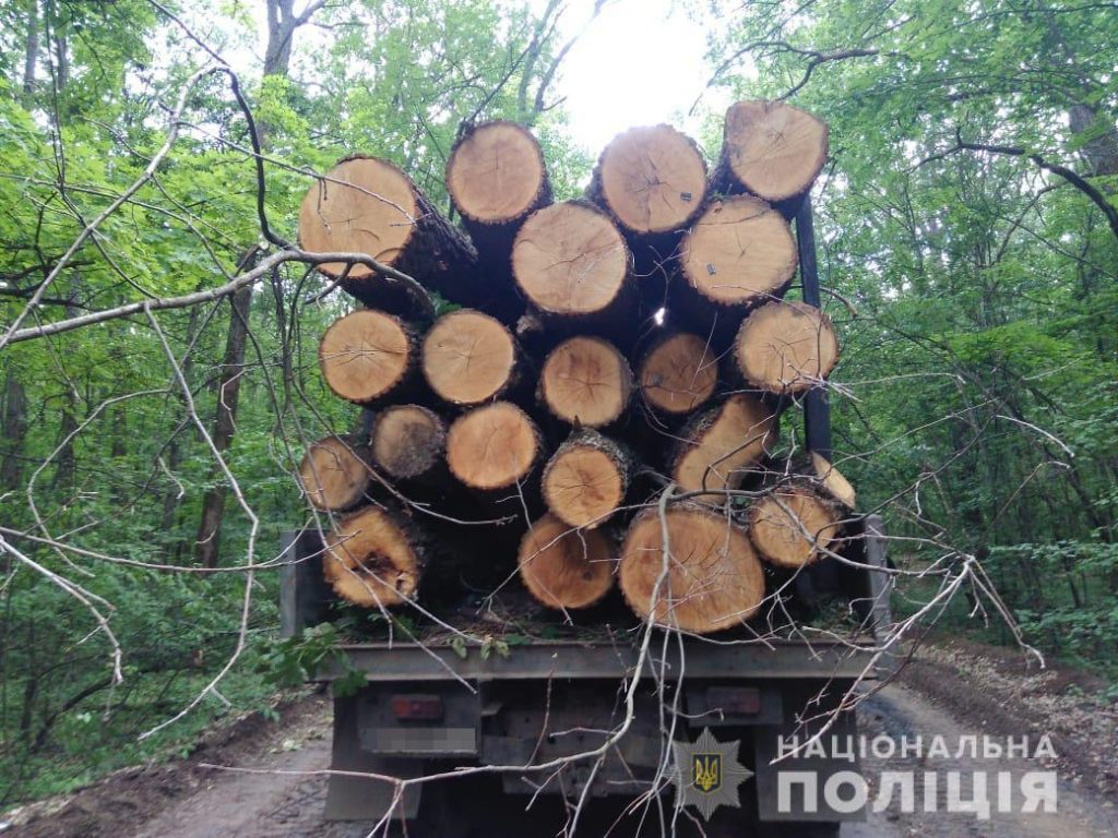 Вырубка деревьев в Чугуевском районе: полиция проводит расследование (фото)