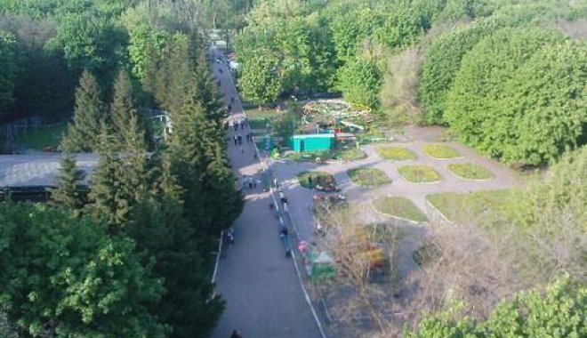 Реконструкція парку «Зелений гай»: петицію підтримали більше 5000 харків’ян (відео)