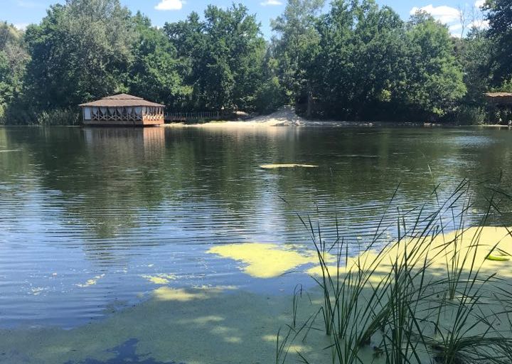 Харківські екологи розповіли, як вирішити проблему забруднення річки Сіверський Донець (відео)